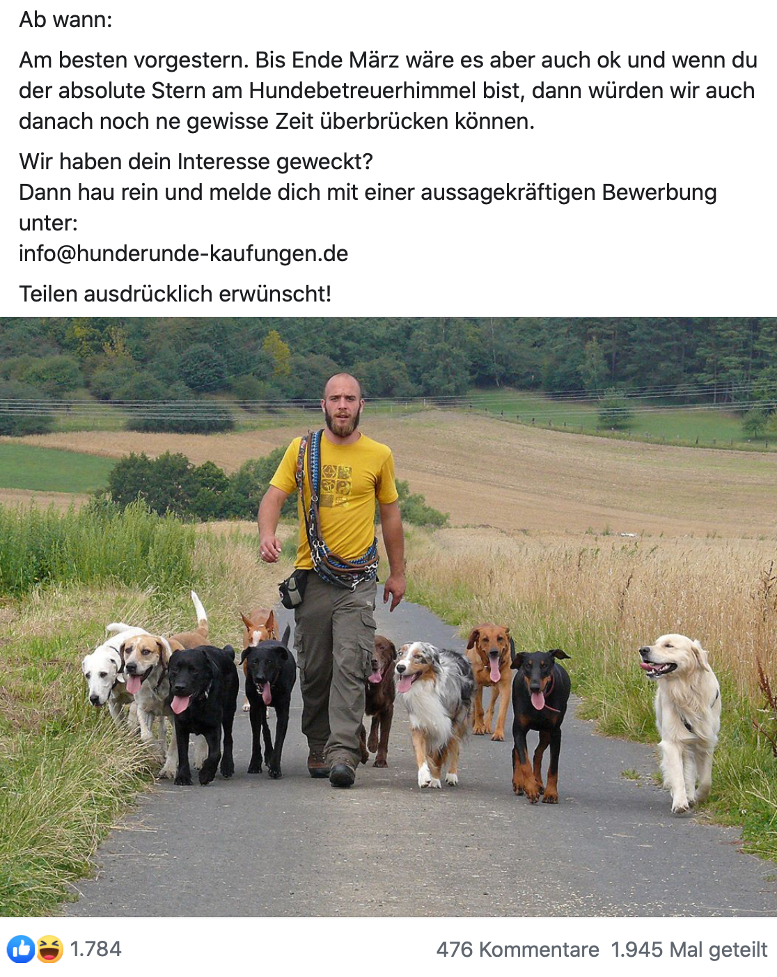 Stellenausschreibung Hundeschule