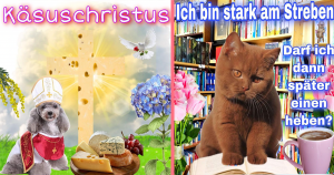 Header_Bild_Neu.tiere2png