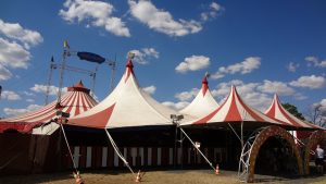 circus-g54338a72b_1920