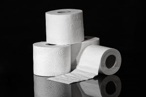 toilet-paper-g970bb1436_1920