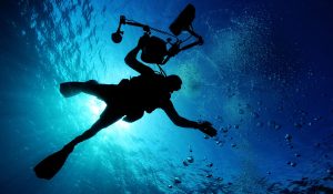 scuba-diving-g6bacbfd83_1920