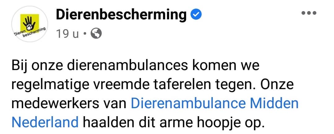 Dierenbescherming