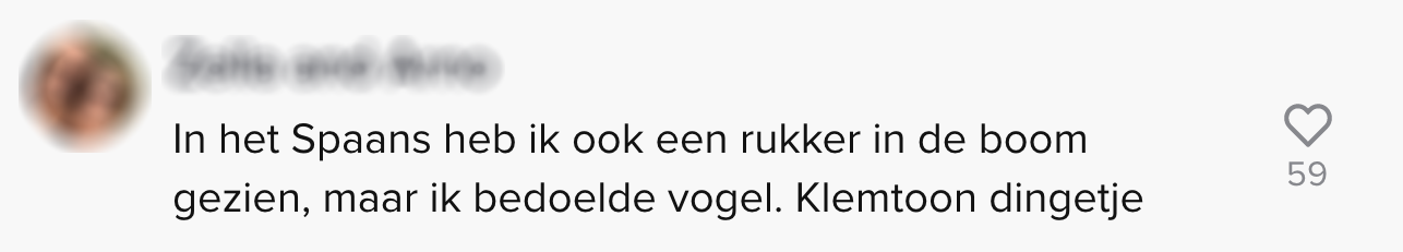 Amerikaan legt met gênante anekdote uit waar het misgaat in onze taal