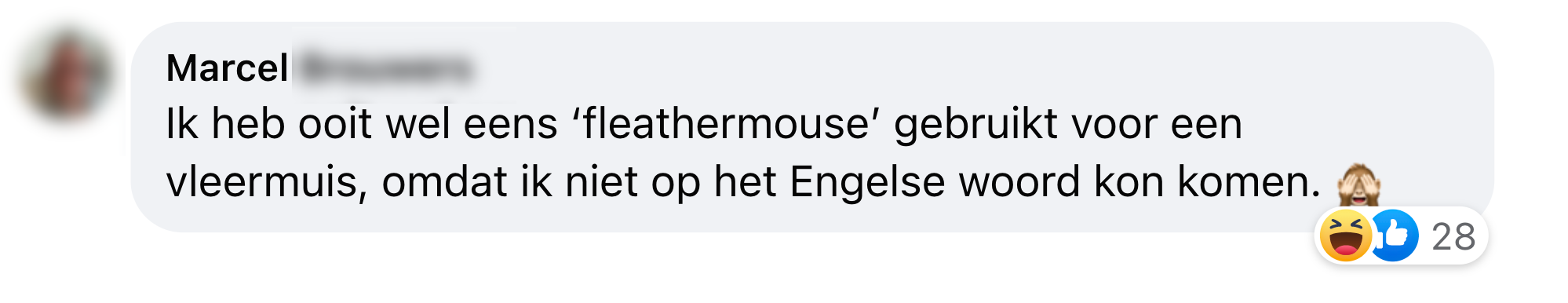 fleathermouse vertalingen