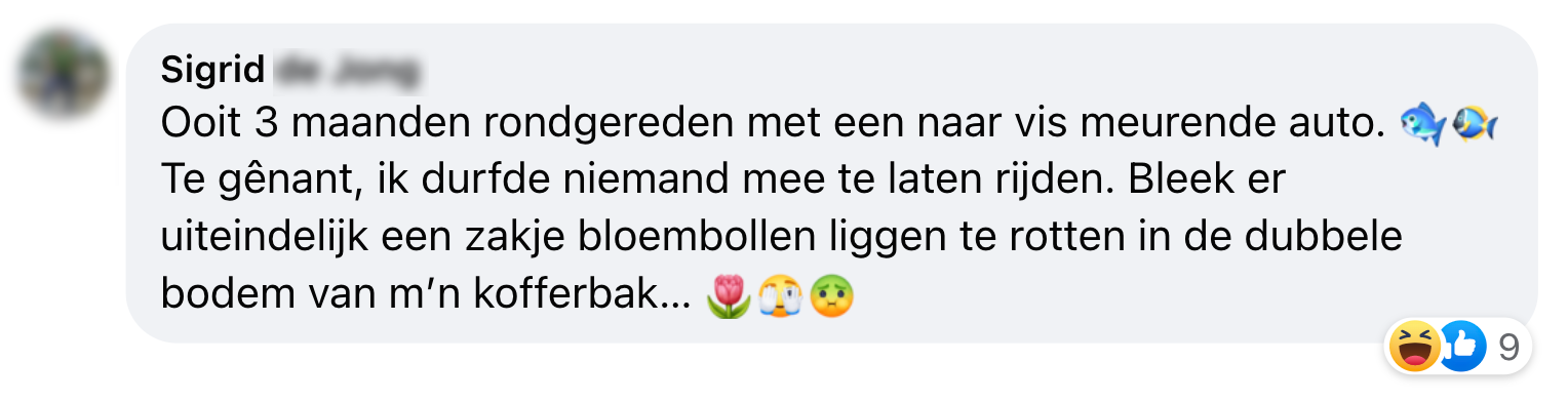 a bloembol onverklaarbare