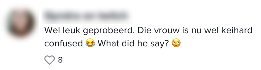 vertaalblunder