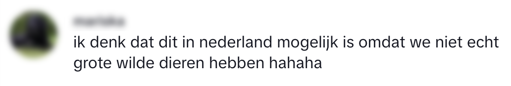 nederlandse