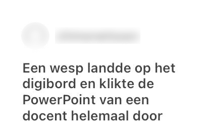 docenten