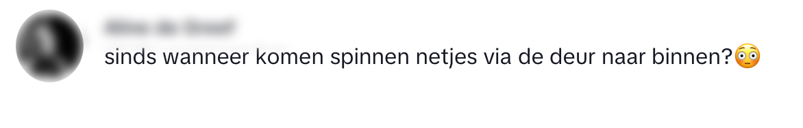 spinnen