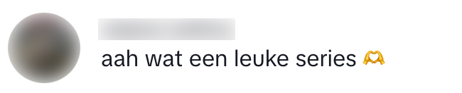 bijbaantjes