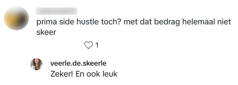 bijbaantjes