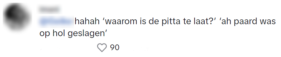 Deze bezorger brengt zijn bestelling op een ander soort voertuig