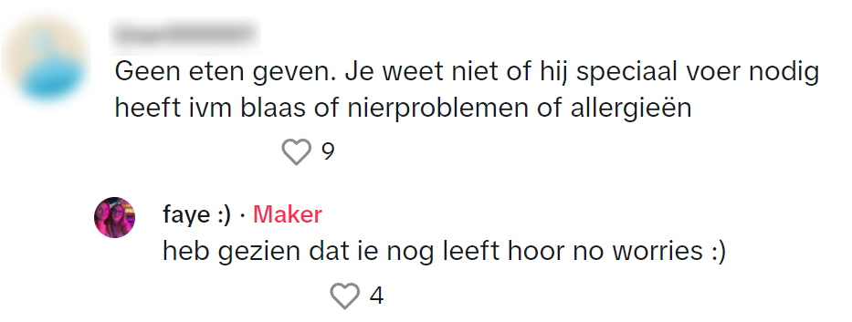 Deze indringer weet Albert Heijn-medewerkers aan het werk te zetten 