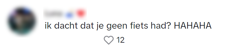 fietsendieven