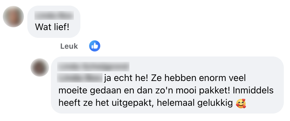 albert heijn