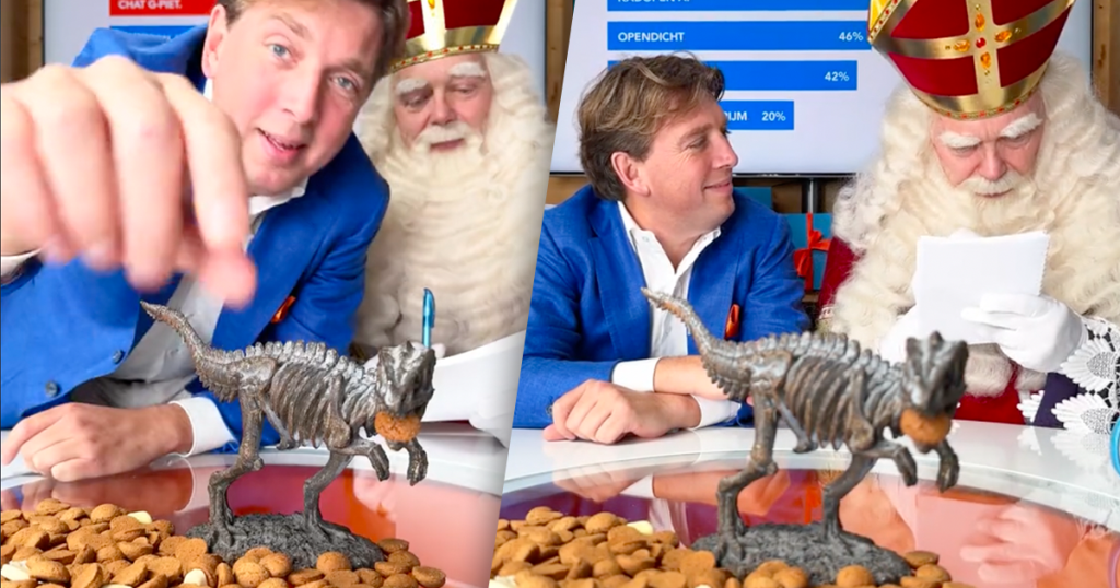 Coolblue Sinterklaas gedichten