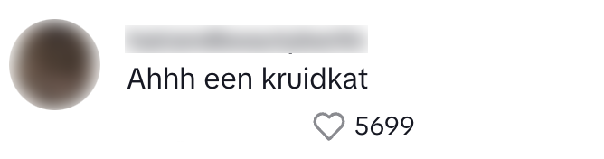 kruidvat