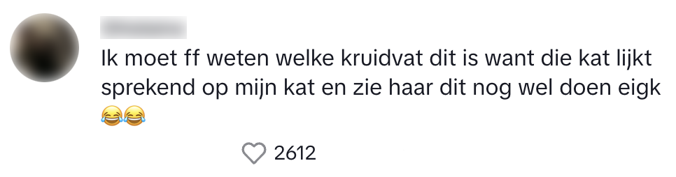 kruidvat