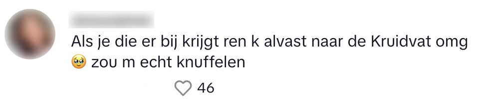 kruidvat