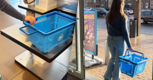 albert heijn zonder