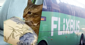 flixbus header 3