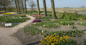 afbeelding poldertuin