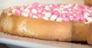 muisjes header 1