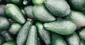 avocado header 1