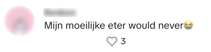 albert heijn