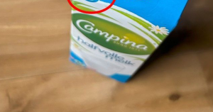 afbeelding campina