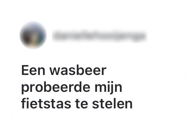 "een wasbeer probeerde mijn fietstas te stelen tijdens het kamperen."