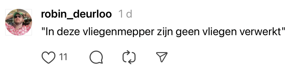 Blokker vliegenmepper