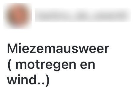 zelfbedachte woorden