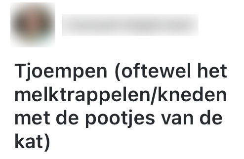 zelfbedachte woorden