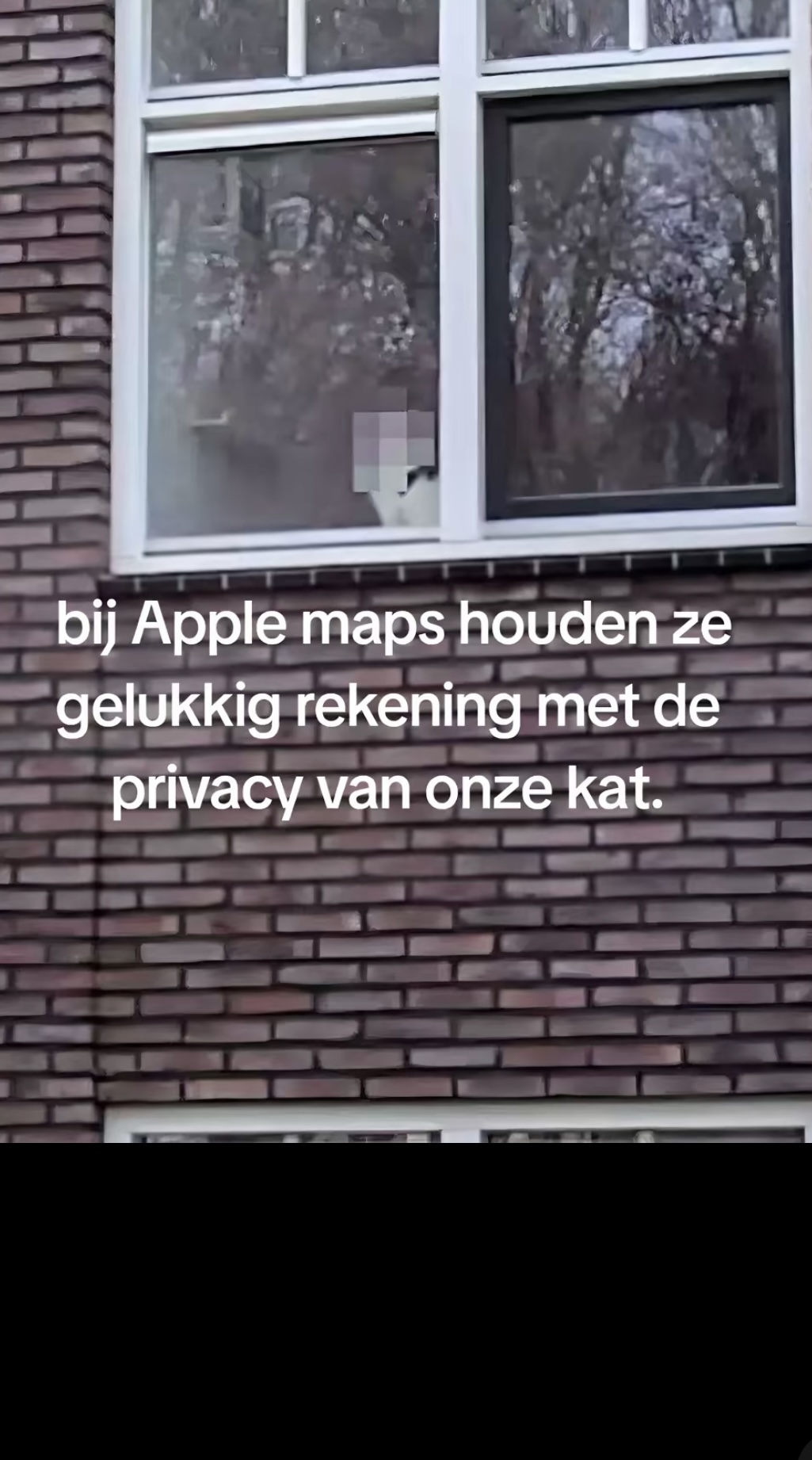 Apple Maps