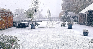 sneeuw header 1