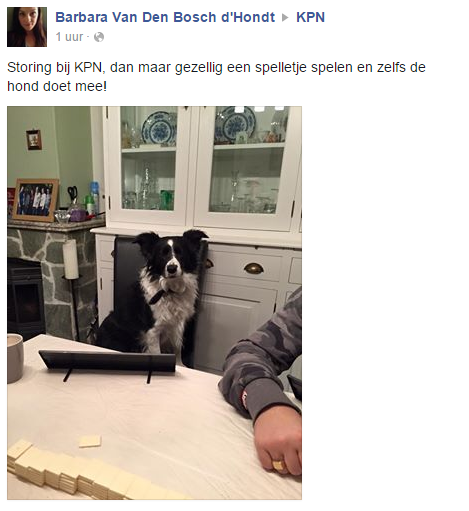 reactie_hond